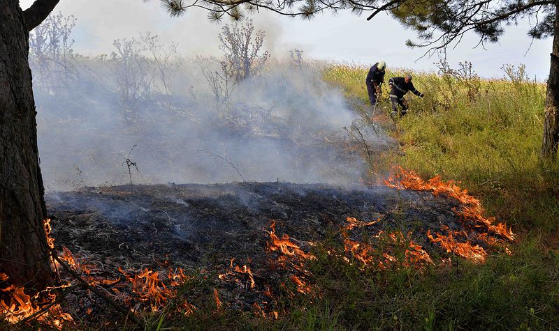 Огън пламна край Драгоман, хиляди декари горят край Сливница