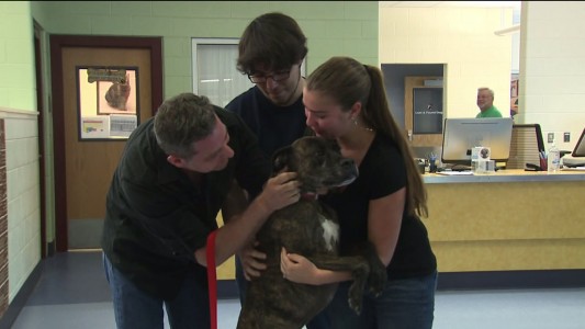 Семейство намери кучето си след 9 г. (видео)