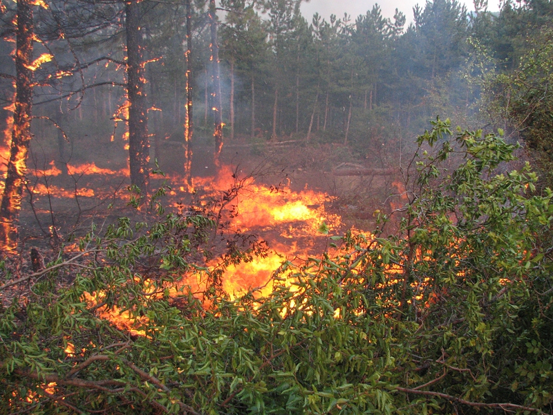 255 пожара са възникнали в страната за едно денонощие
