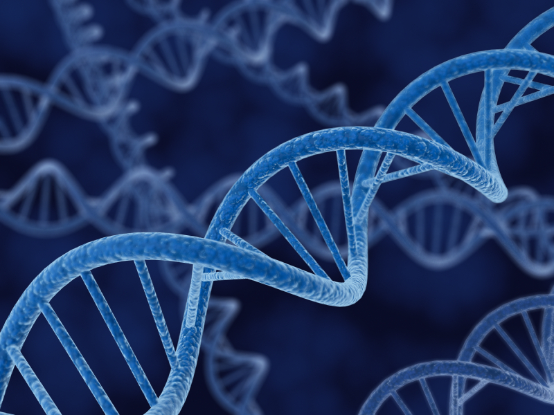 Учени искат да модифицират човешките гени