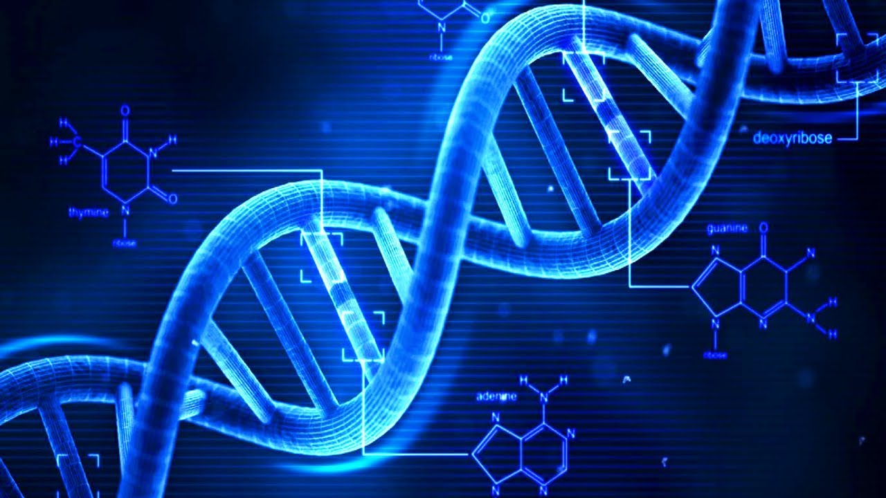 ДНК предоставя огромен потенциал, за разработката на нови технологии