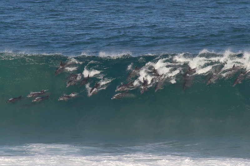 Емирство Шарджа  ще строи  нова туристическа зона