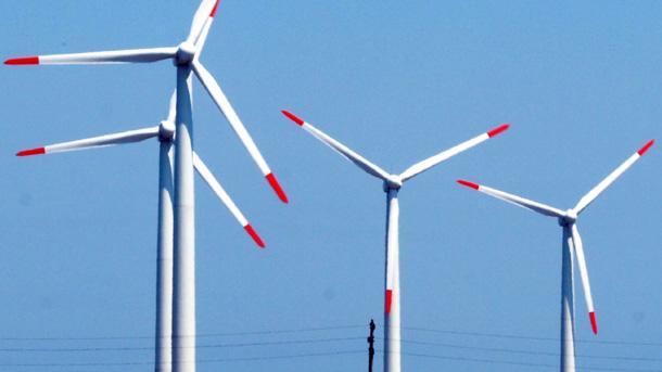 О. Калев: По цял свят бизнесът със зелената енергия се насърчава,  за да се докарат инвеститори