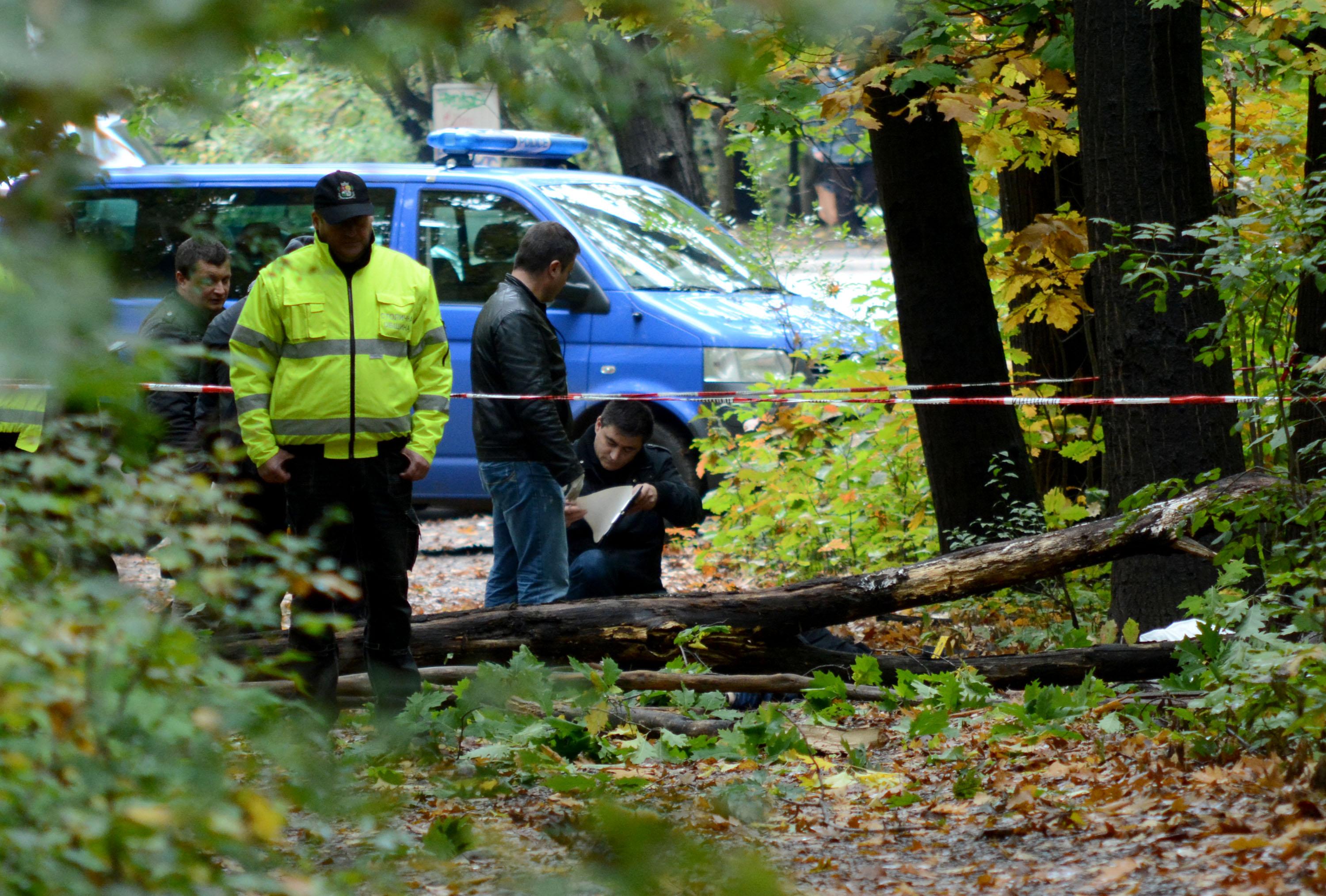 Дърво падна и премаза млад мъж в Борисовата градина