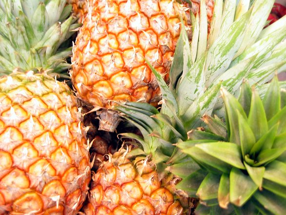Учени дешифрираха гените на ананаса
