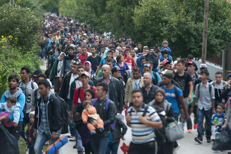 43 полски граничари ще пазят границата на ЕС в Унгария