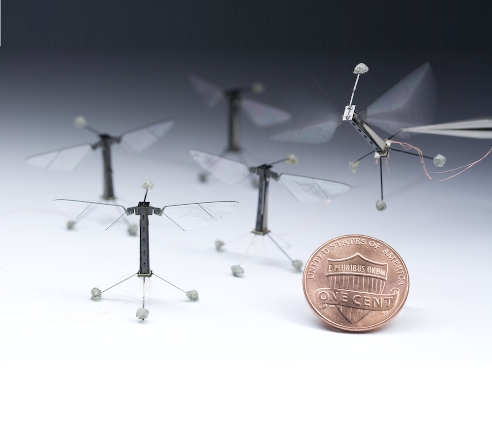 Пчели роботи ще издирват жертви на бедствия