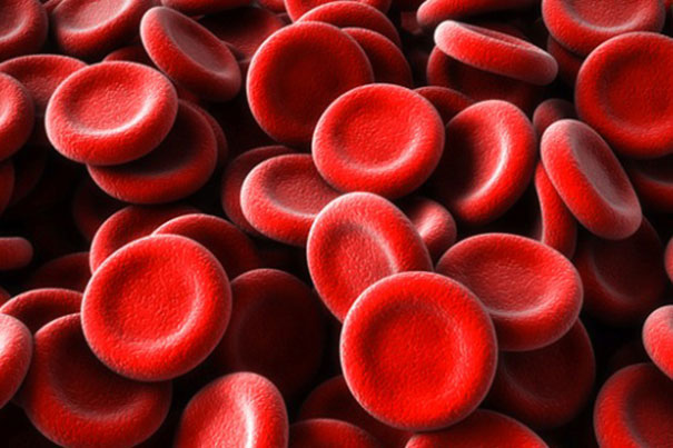 Учени принтираха функциониращи кръвни телца