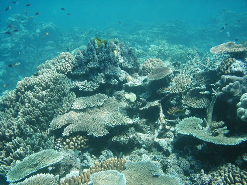 Седем забележителности, заплашени от затоплянето (снимки)