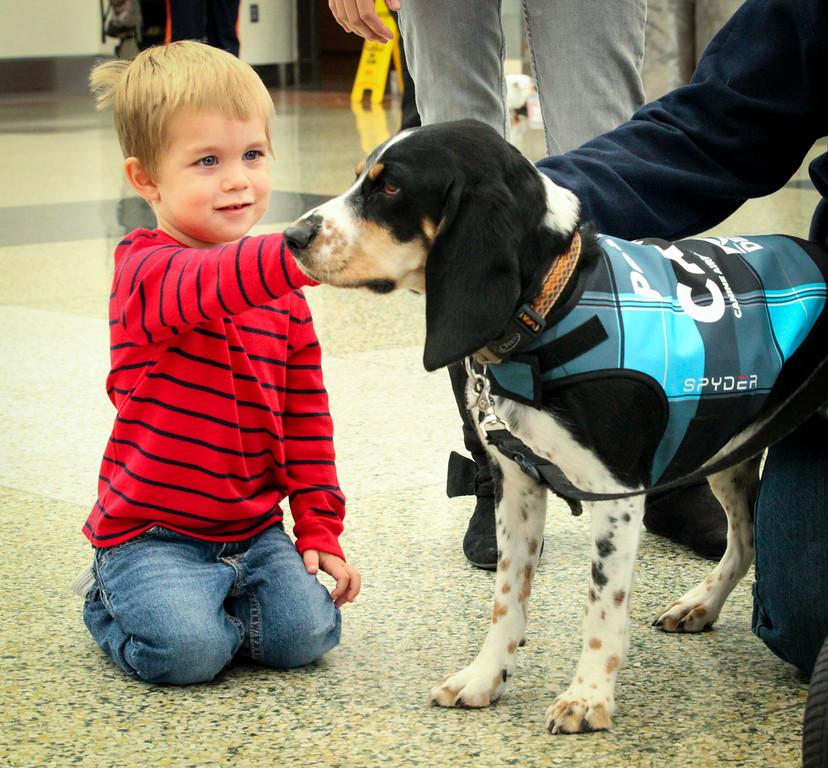 На стресираните пасажери е позволено да погалят кучетата на летището в Денвър