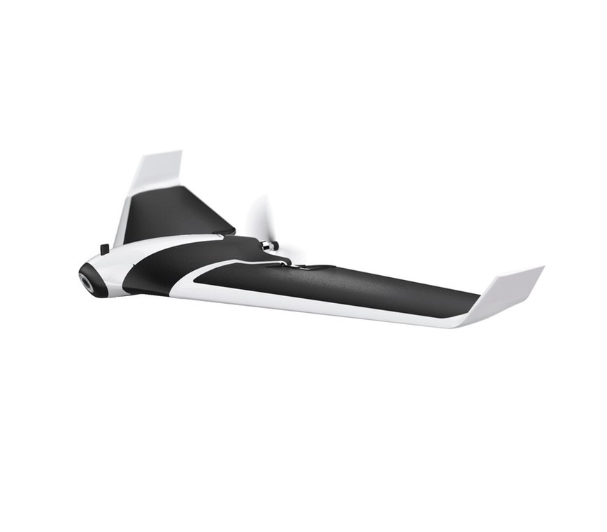 Parrot Disco