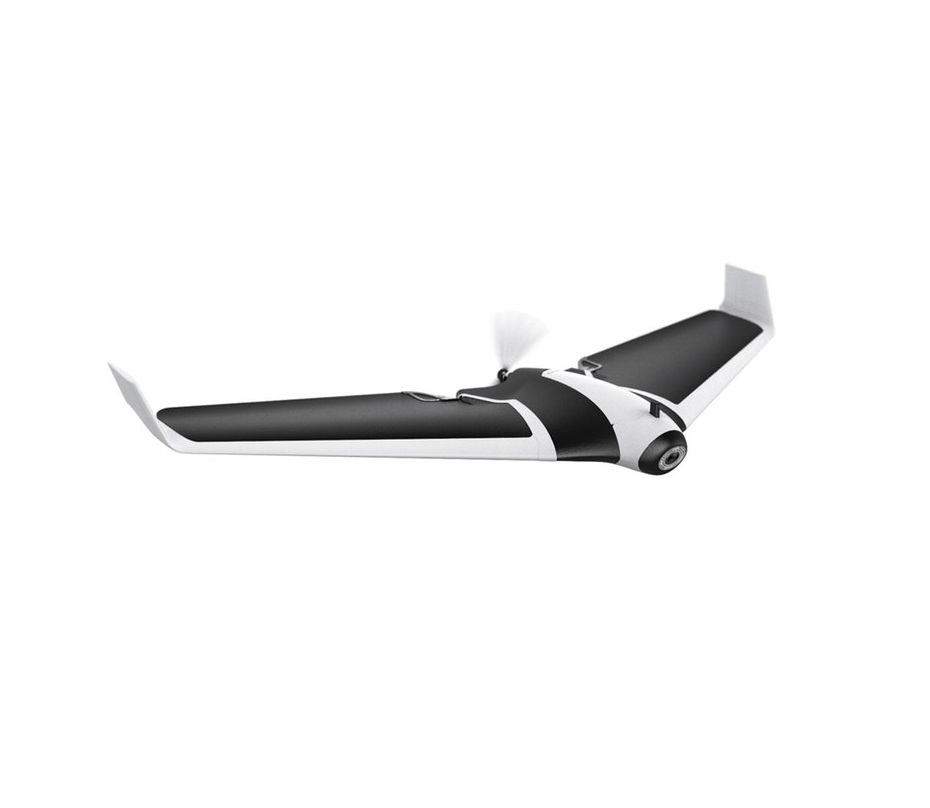 Parrot Disco