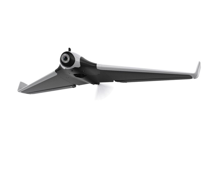 Parrot Disco