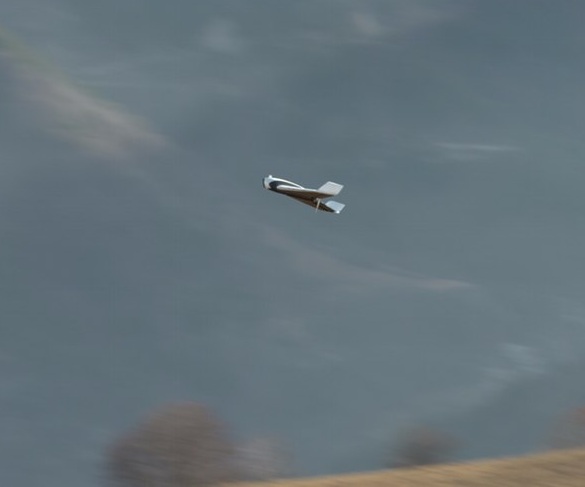 Parrot Disco