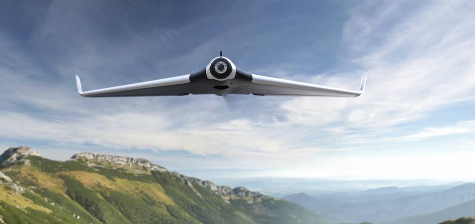 Parrot Disco