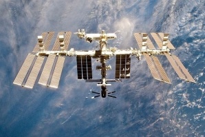 Цвете цъфна на Международната космическа станция (СНИМКИ)