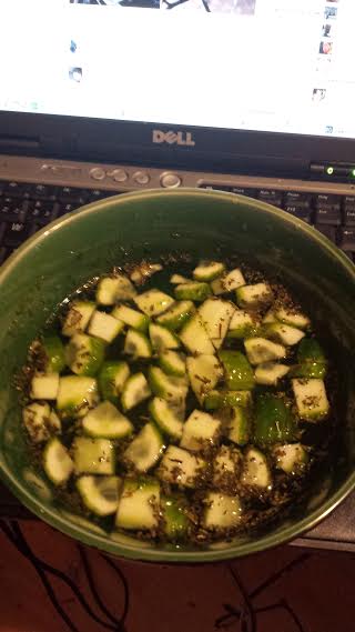 Градинарски таратор (без мляко)