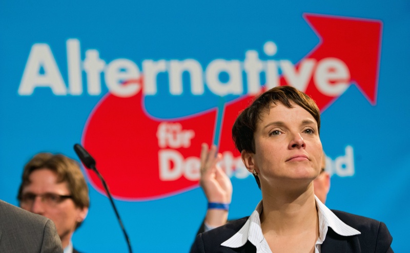 Федерален министър иска германският политически елит да свали маската на Фрауке Петри и на ”Алтернатива за Германия”