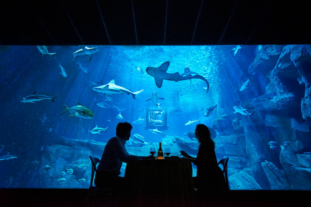Парижкият аквариум предлага нощувка в стая с гледка към плуващите акули