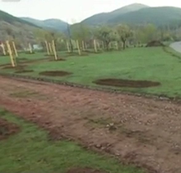 100 дръвчета изкоренени от парк в Сеславци