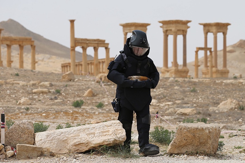 Руски сапьор разминирва територия около паметниците на културата в Палмира, Сирия