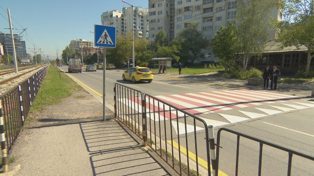 След инцидента ”зебрата” в София вече е повдигната