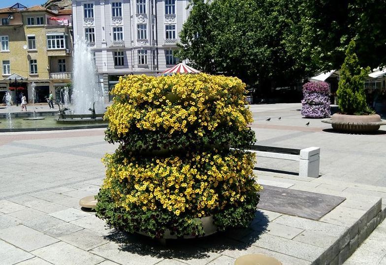 Повече от 3 милиона цветя украсяват Пловдив