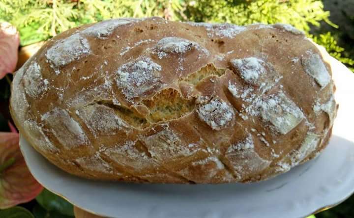 Типов хляб