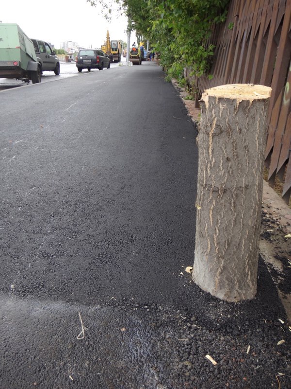 Глобяват фирмата, допуснала асфалтиране на дървета в София