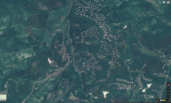 Снимки и от Google Earth на района около село Сърница