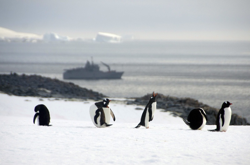 Аржентина планира редовни граждански полети до Антарктида