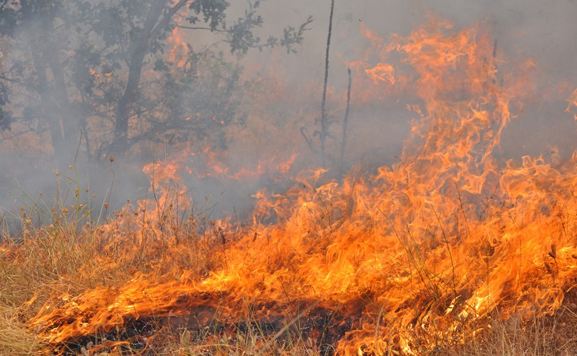 Още гасят пожара между сакарските села Мъдрец и Главан