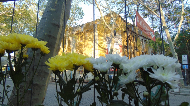 Цветя оставиха пловдивчани пред изгорелите тютюневи складове