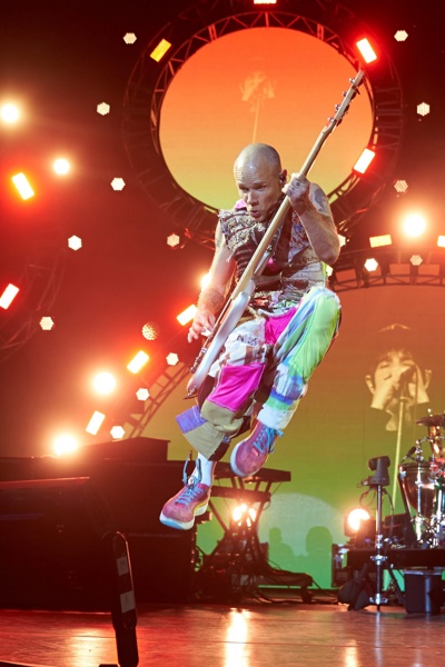 Горила свири на баса на Флий от Red hot chili peppers