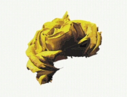 Журито на “Златна роза” 2016