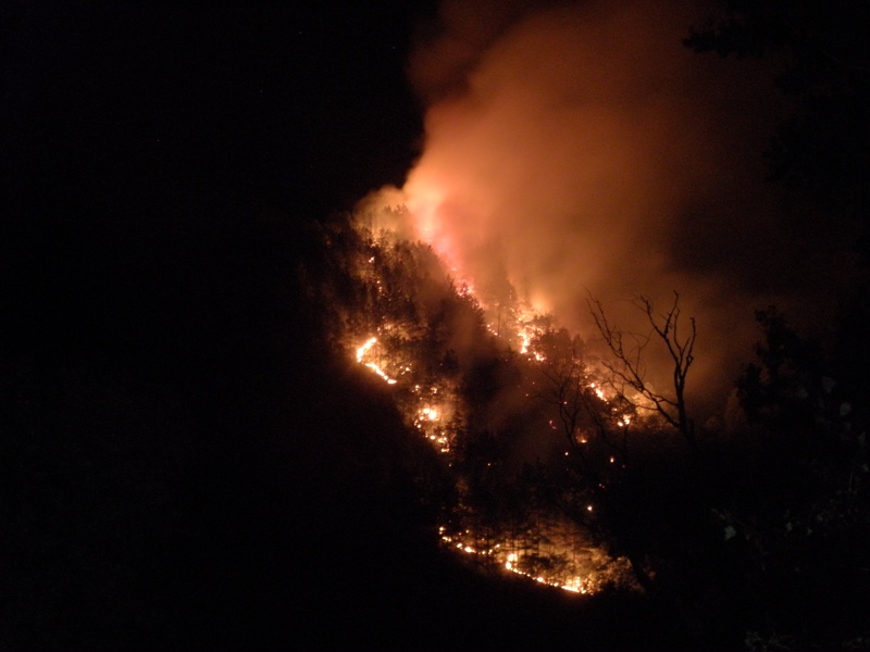 Голям пожар горя край жп линията в Кресненското дефиле