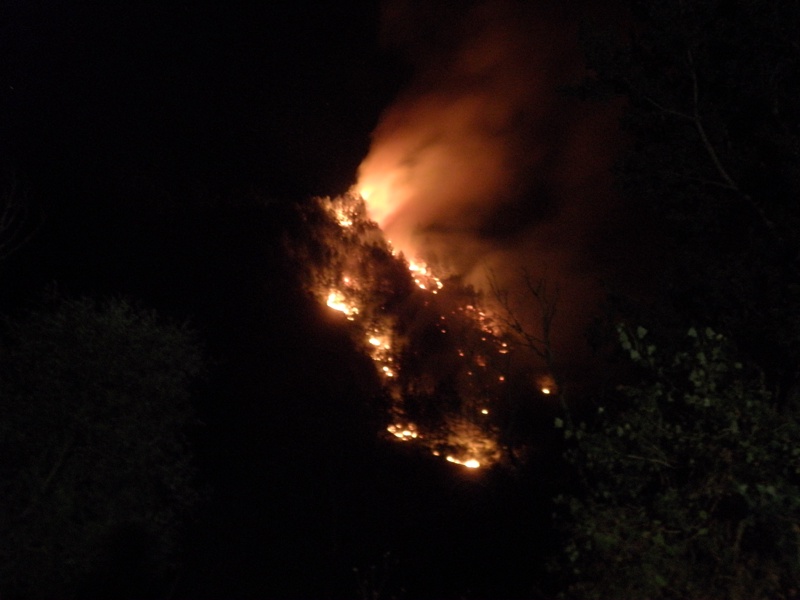 Пожар пламна в нощта срещу понеделник в Кресненското дефиле