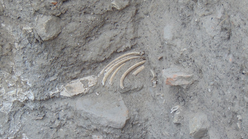 Открити човешки останки - гръден кош във варна яма