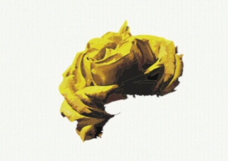 Шест копродукции с българско участие на "Златна роза" от 19 септември 2016