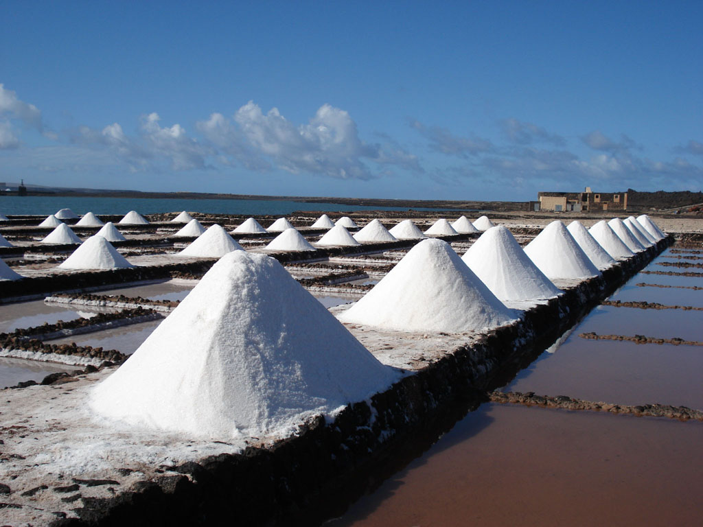Китайските производители на сол самостоятелно ще излизат на пазара