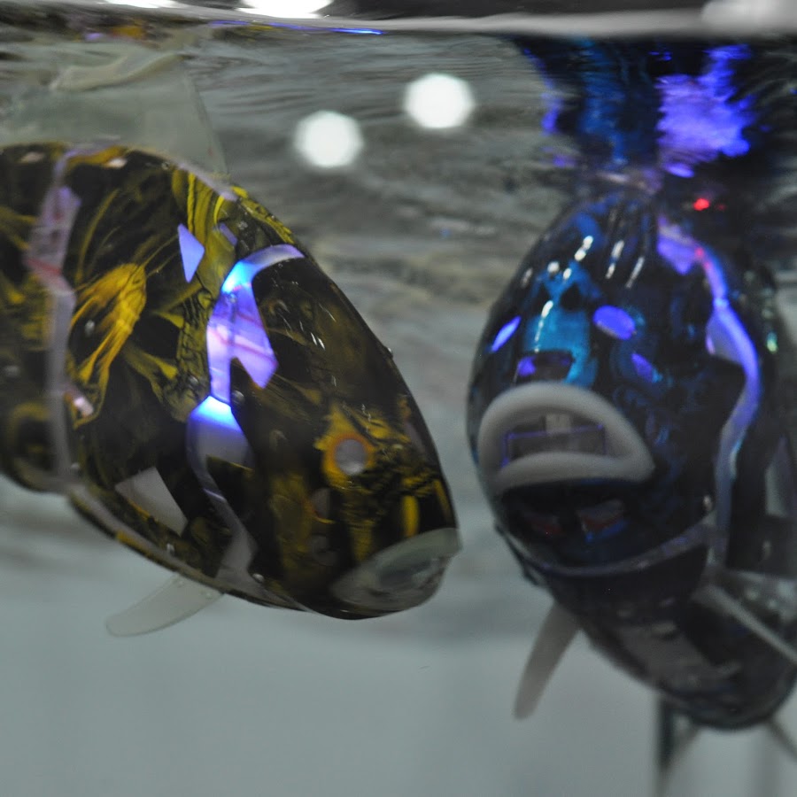 Корейци изобретиха роботизирани рибки