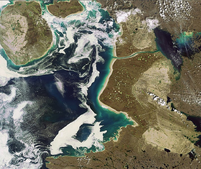 Настъпващите в Северния ледовит океан промени не могат да не повлияят върху екосистемата