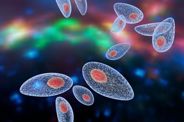 Паразитът Toxoplasma gondii изменя човешкото поведение