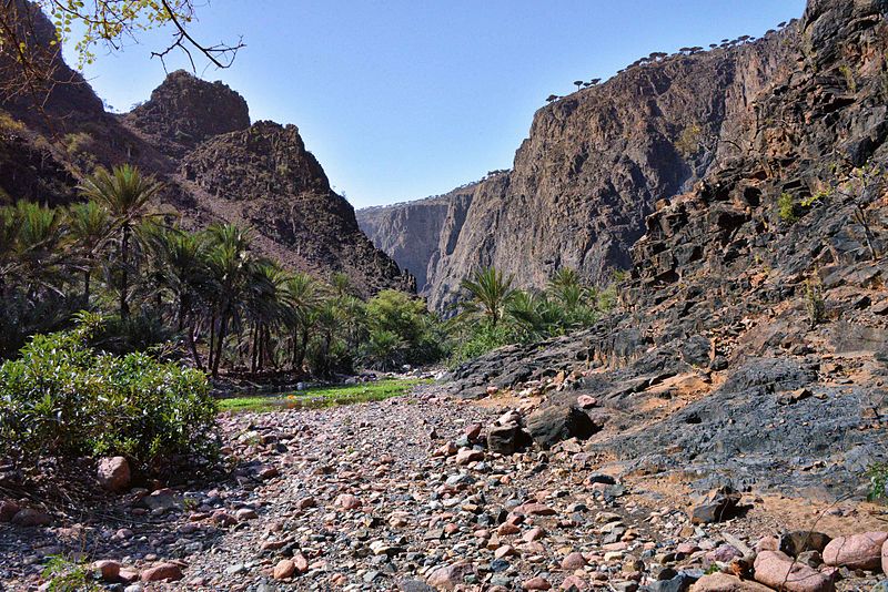Близо 60 души гинат в корабокрушение край Йемен