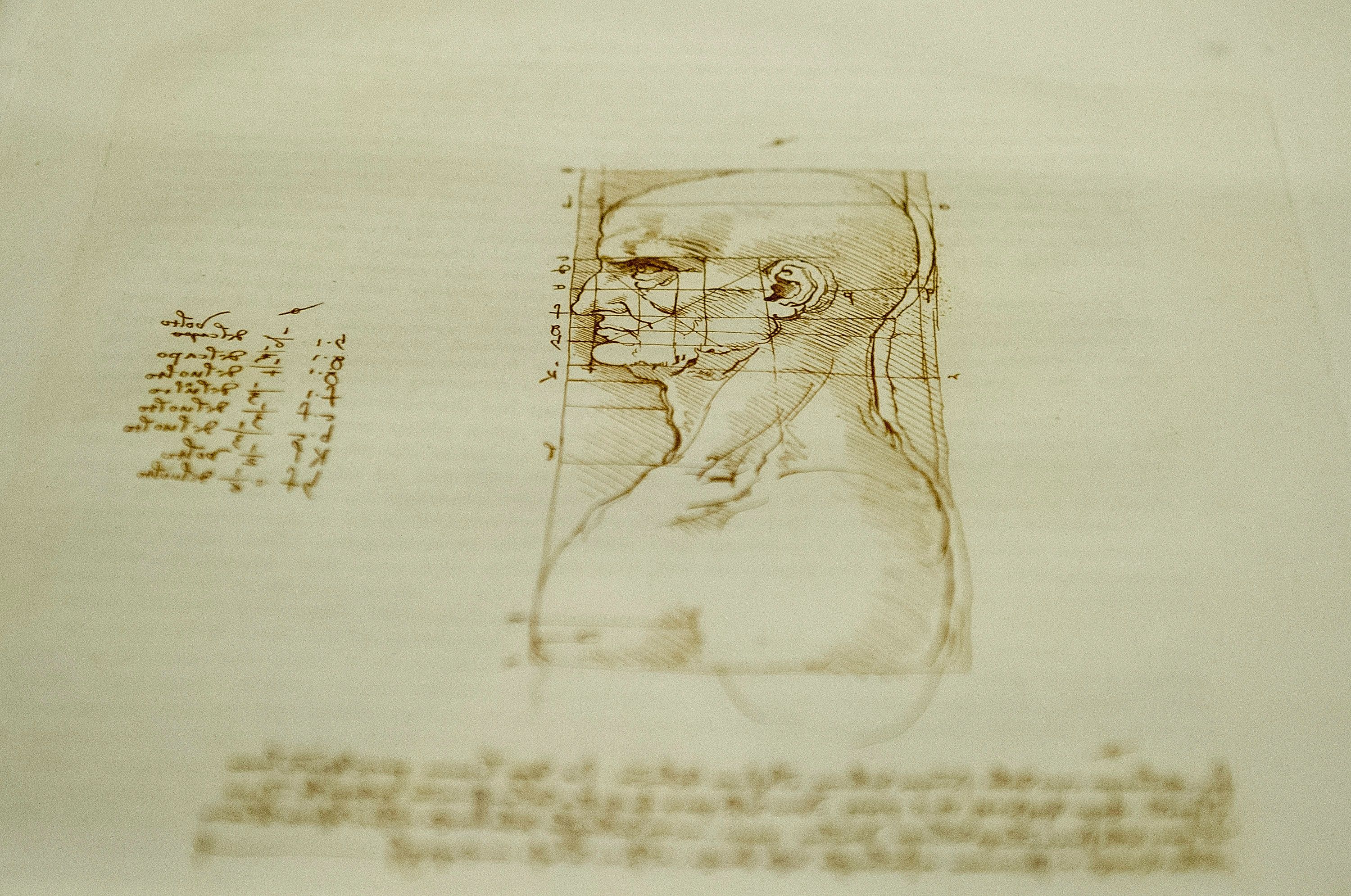 Откриха нова скица на Леонардо да Винчи