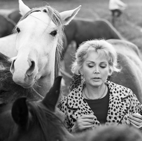За За Габор (1968 г.)