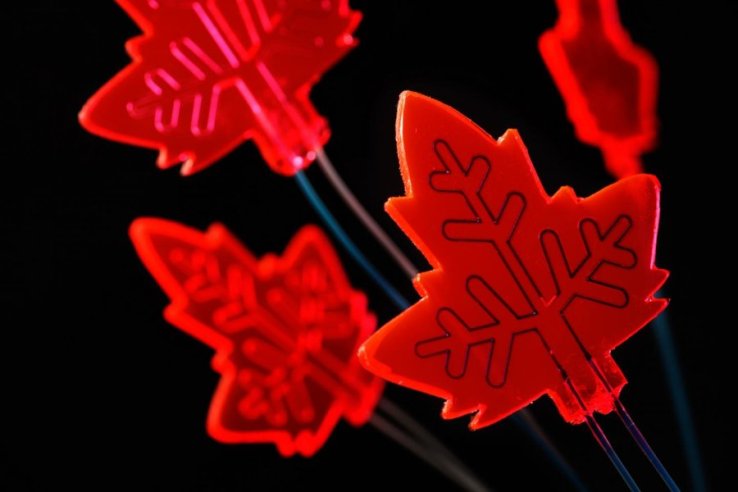 Изкуствени растения ще произвеждат лекарства