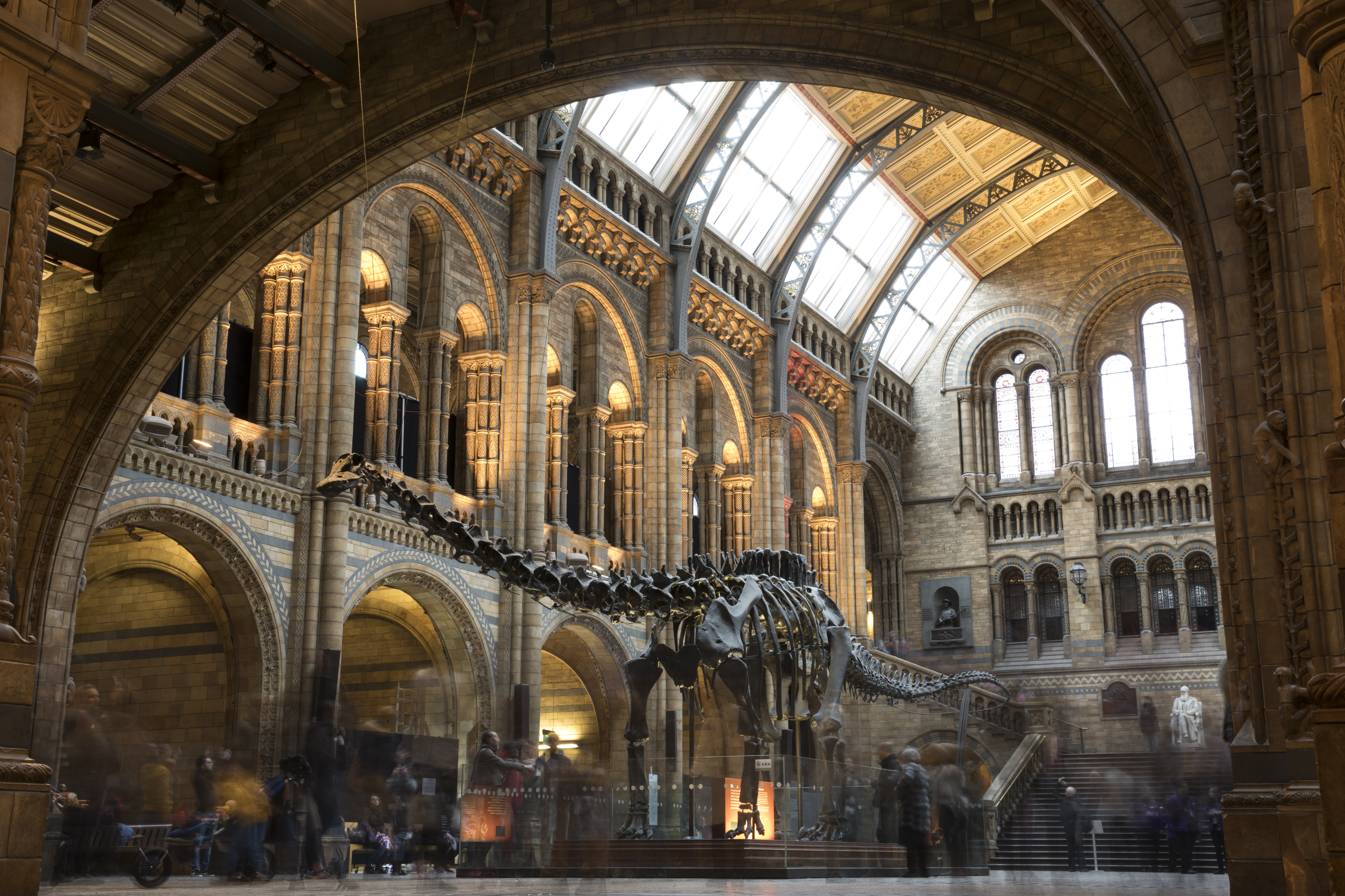112-годишен динозавърски скелет тръгва на турне