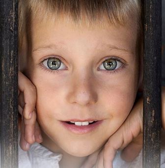 "Воевода" стана хит, оглави боксофиса