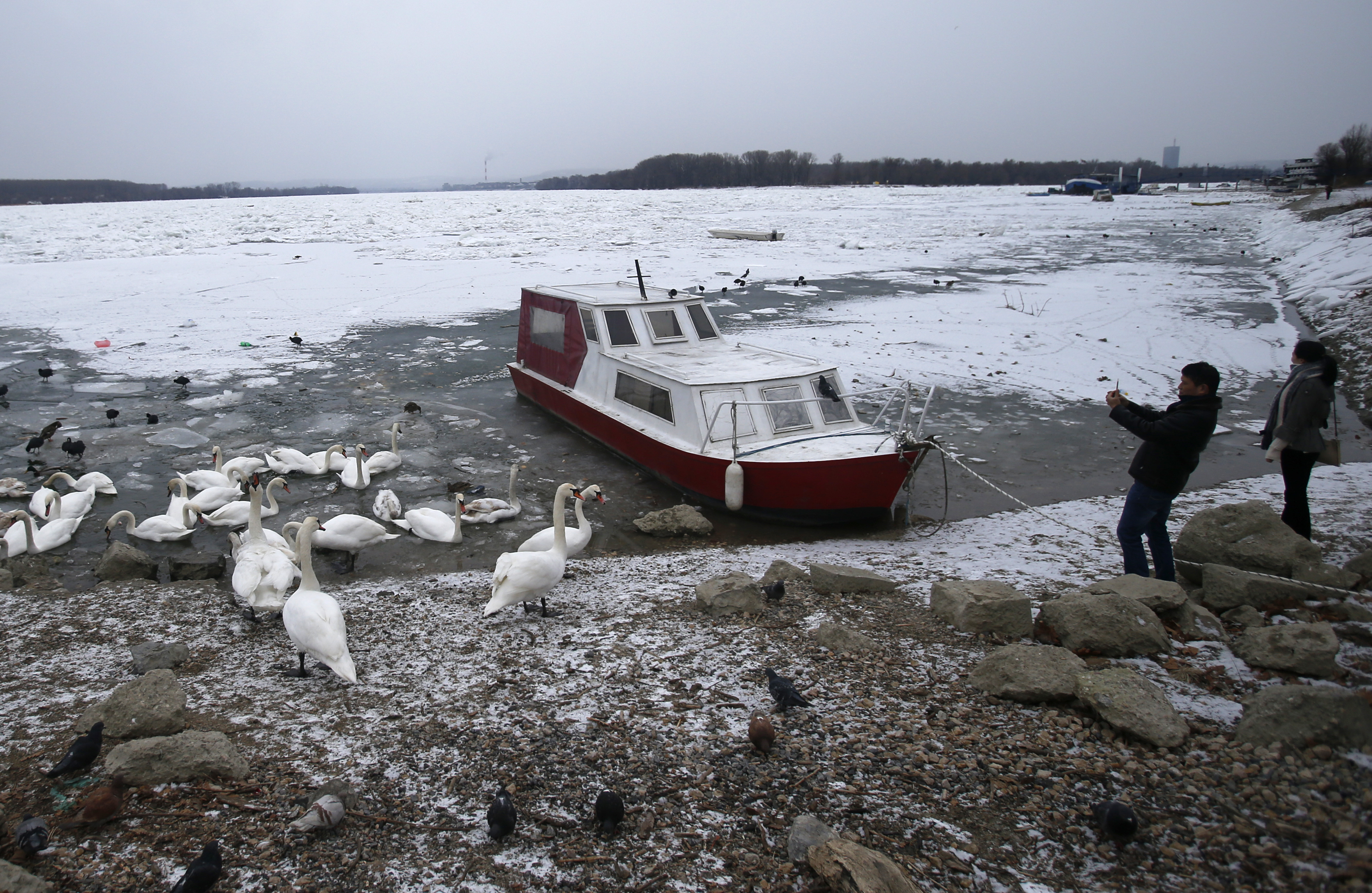 Сърбия и Хърватия се борят с ледовете по река Дунав